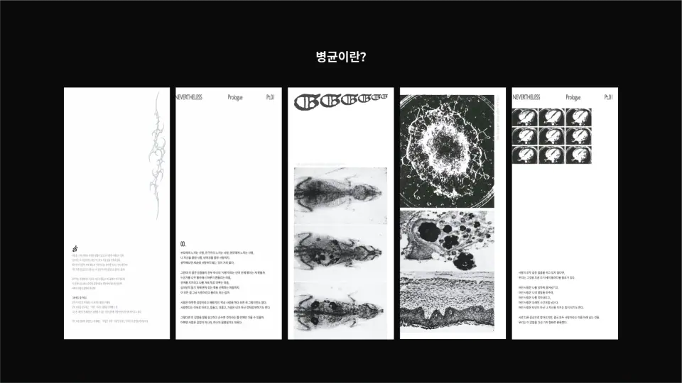 NEVERTHELESS 작품 이미지 5