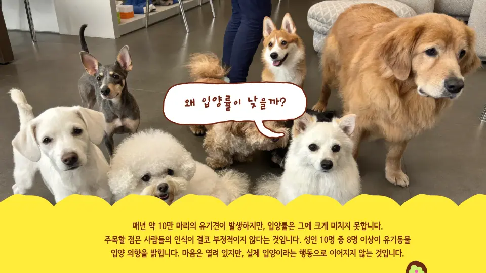 Sunday Dog Picnic 작품 이미지 2