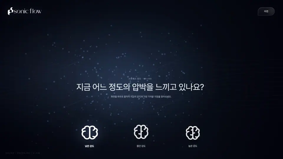 Sonic Flow 작품 이미지 3