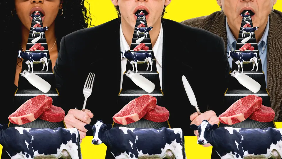 NEXT TABLE 작품 이미지 4